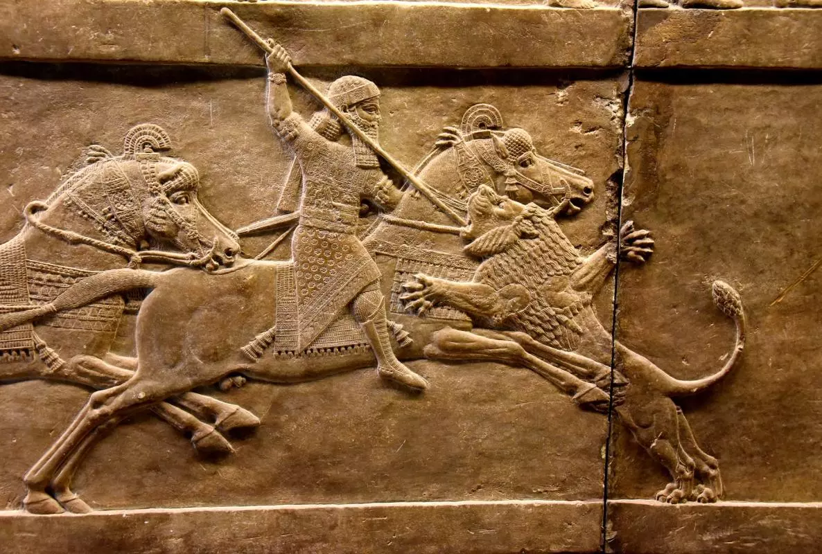 file 20211020 15 1njjnw4